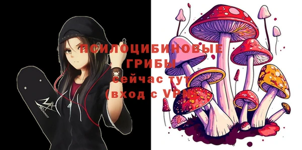PSILOCYBIN Балахна